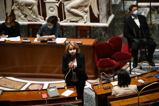 Le Parlement adopte définitivement la loi climat, très critiquée par les ONG