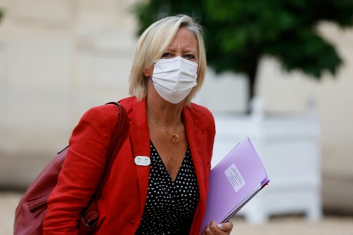 Handicap : une aide bientôt élargie aux personnes avec déficience mentale