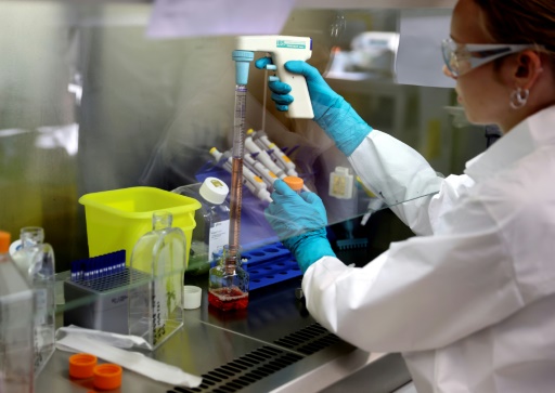 La révolution "CAR-T" : à Paris, la biotech Cellectis fourbit ses armes face au cancer