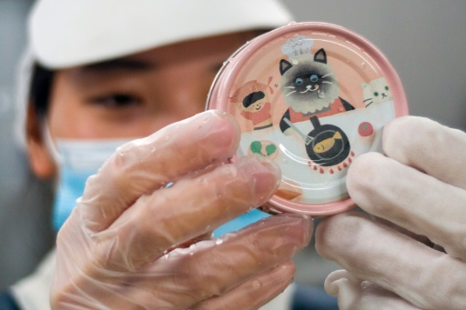 Taïwan : le ver à soie, nouvel ingrédient magique des pâtées pour chat