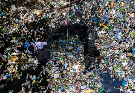 Plastique : moins de 10% recyclé, l'OCDE veut une réponse "mondiale coordonnée"
