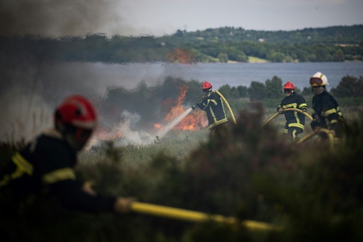 La faune et la flore, victimes des incendies en Bretagne et en Gironde
