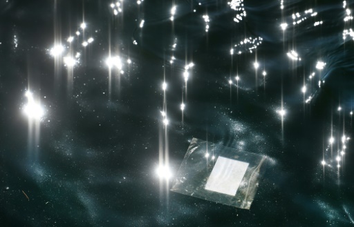 Au chevet de l'océan, l'ONU rassemble décideurs, experts et militants