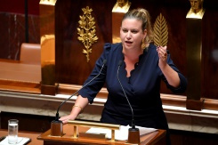 l'Assemblée nationale entre dans le vif.jpg