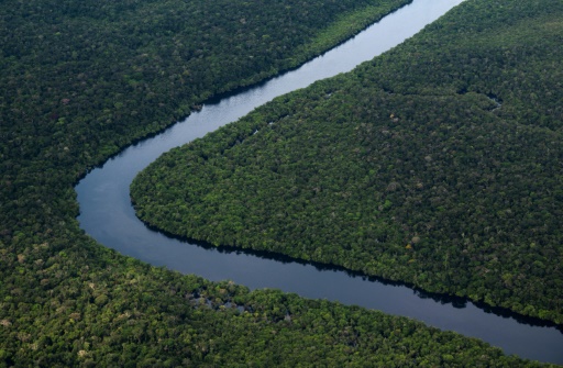 Déforestation : accord inédit de l'UE pour verdir ses importations