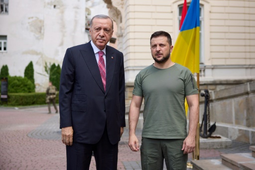 Zelensky en Turquie à la veille du 500e jour de l'invasion russe de l'Ukraine