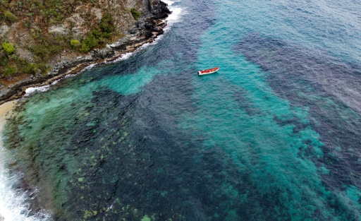 Un corail assassin menace récifs vénézuéliens et, au-delà, les Caraibes