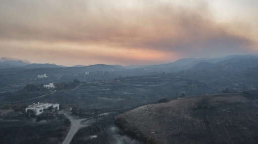 Après 3 semaines de canicules, l'ONU confirme : juillet sera le mois le plus chaud jamais enregistré sur la planète