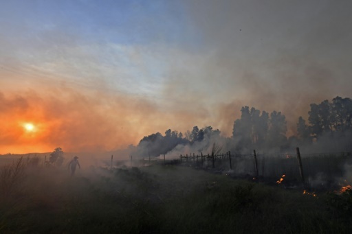 Algérie : encore 11 foyers, la majorité des incendies éteints
