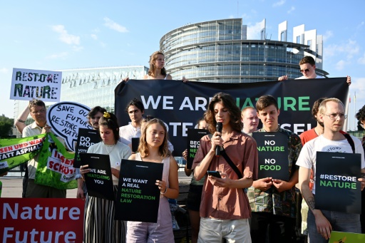 Le Parlement européen donne un premier feu vert au projet de restauration des écosystèmes