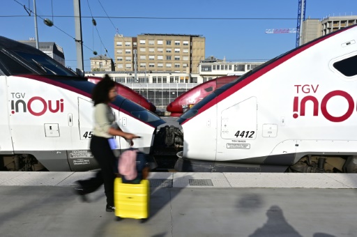 Grève des contrôleurs SNCF : fortes perturbations ce week-end avec "un TGV sur deux"