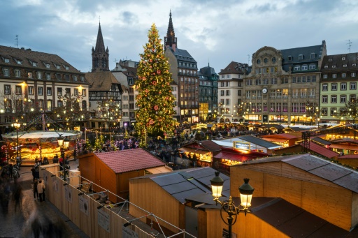 A Strasbourg, une crèche canine offre ses services pour le marché de Noël