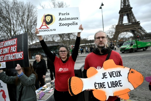 Danser avec les poissons : le Réveillon de l'Aquarium de Paris dans le collimateur d'une association.