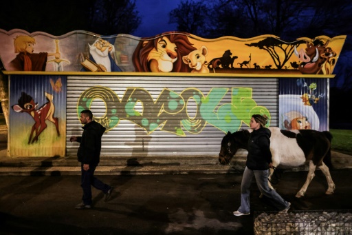 A Angoulême, un poney redonne le sourire aux sans-abri