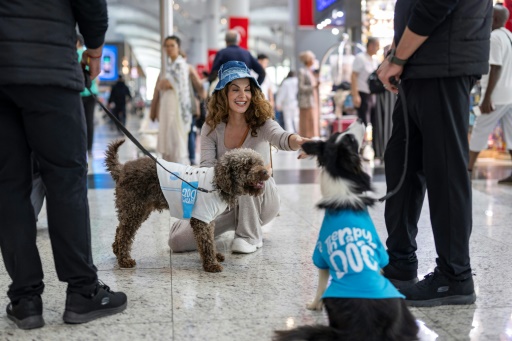 Turquie : des chiens pour détendre les passagers à l'aéroport d'Istanbul