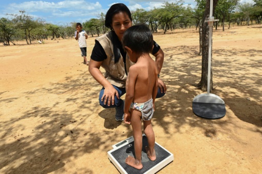 Plus d'un enfant de moins de 5 ans sur quatre vit dans une "pauvreté alimentaire sévère" (Unicef)