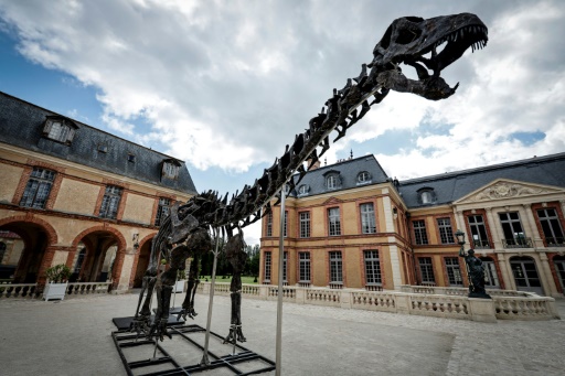 Le plus grand dinosaure jamais mis aux enchères exposé dans un château des Yvelines