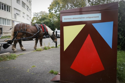 Chaque Français jette chaque année 25 kilos de nourriture, selon Too Good To Go