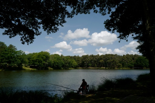 Une plateforme de location d'étangs pour les mordus de poisson