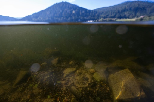 Infesté de munitions, un lac des Vosges attend sa libération