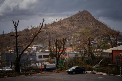 Des habitations endommagées et des arbres tombés, à Pamandzi à Mayotte, le 17 décembre 2024