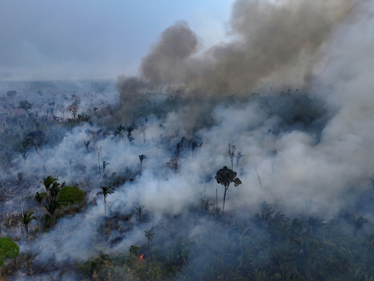 Brésil : la superficie végétale brûlée par les incendies a bondi de 79% en 2024