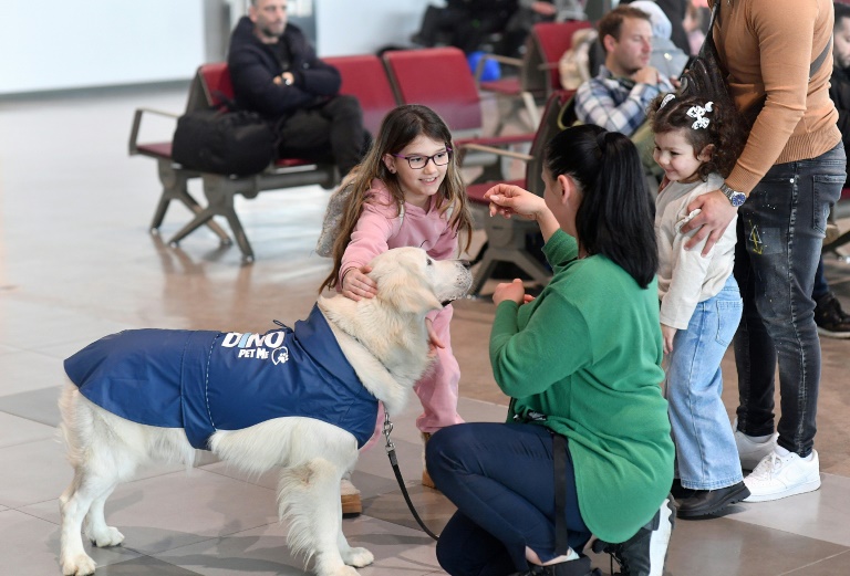 Peur de l'avion ? L'aéroport de Skopje a tout prévu ... même un chien !