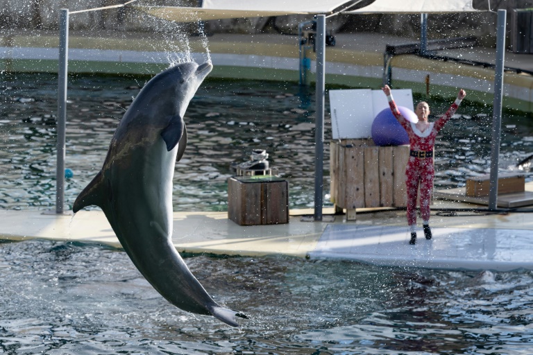 Côte d'Azur : clap de fin pour les orques et les dauphins du Marineland