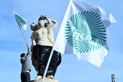 Des drapeaux de la FNSEA, principal syndicat agricile français, à Montpellier le 18 novembre 2024 (ARCHIVES)