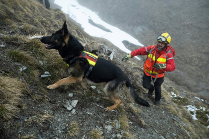 Un membre de la Sécurité civile et son chien lors d'un exercice de recherche de victimes, le 26 mars 2025 à Artouste, dans les Pyrénées-Orientales