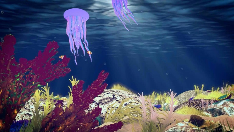 En Australie, des gamètes cryogénisées pour sauver la Grande Barrière de corail