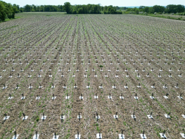 Vue aérienne de jeunes arbres, plantés dans une ancienne plaine agricole aux sols pollués et destinés à reboiser une zone appelée "La Forêt de Maubuisson" à Méry-sur-Oise, au nord-ouest de Paris, le 29 avril 2025 - Jacques-Alexandre BRUN (AFP) Vue aérienne de jeunes arbres, plantés dans une ancienne plaine agricole aux sols pollués et destinés à reboiser une zone appelée "La Forêt de Maubuisson" à Méry-sur-Oise, au nord-ouest de Paris, le 29 avril 2025 - Jacques-Alexandre BRUN (AFP)
