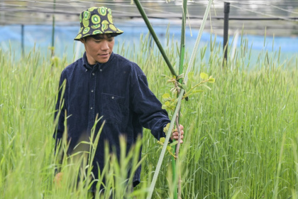 Takuya Haraguchi, directeur de ReFruits Co., inspecte ses plants de kiwis lors d'une interview avec l'AFP dans sa ferme, à quelques kilomètres de la centrale nucléaire sinistrée de Fukushima, le 24 avril 2025 à Okuma, au Japon - Richard A. Brooks (AFP) Takuya Haraguchi, directeur de ReFruits Co., inspecte ses plants de kiwis lors d'une interview avec l'AFP dans sa ferme, à quelques kilomètres de la centrale nucléaire sinistrée de Fukushima, le 24 avril 2025 à Okuma, au Japon - Richard A. Brooks (AFP)