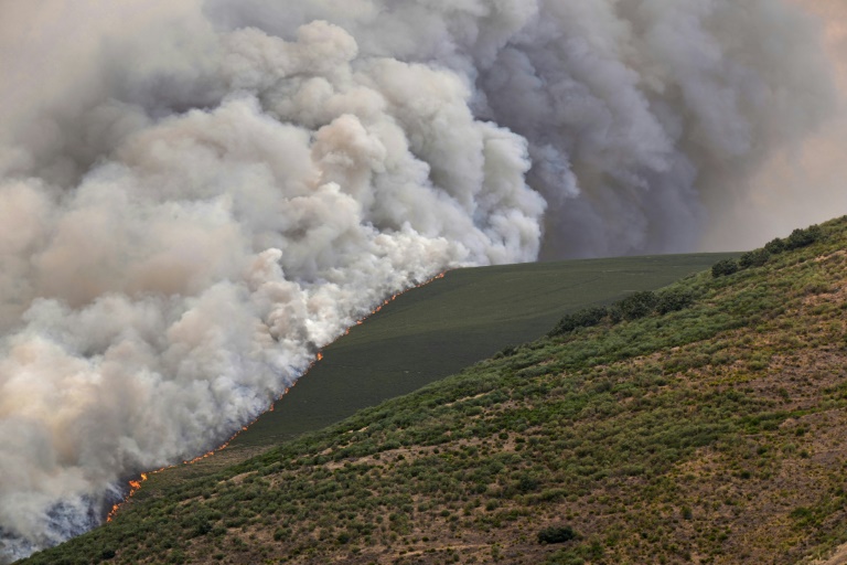 Les incendies ont déjà ravagé 343.000 hectares en 2025 en Espagne, un nouveau record