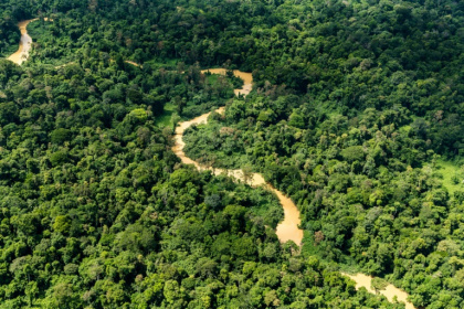Vue aérienne de la forêt amazonienne, le 12 octobre 2017, en Guyane française - Jody AMIET (AFP) Vue aérienne de la forêt amazonienne, le 12 octobre 2017, en Guyane française - Jody AMIET (AFP)