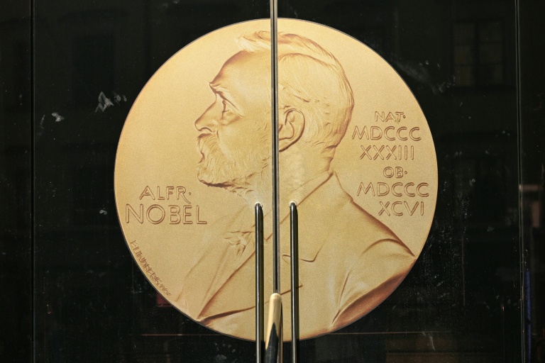 Nobel d'économie : intelligence artificielle ou écart de richesse pour clore la saison 2025