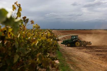Un tracteur prépare les sols pour la culture d'amandiers à la place d'un ancien vignoble, le 13 octobre 2025 près de Lodi, en Californie - Patrick T. Fallon (AFP)