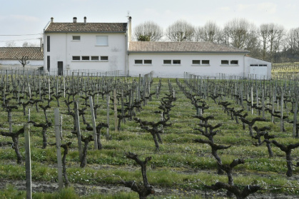Une école élémentaire bâtie en bordure d'un vignoble, à Villeneuve (Gironde), le 23 mars 2016 - GEORGES GOBET (AFP)