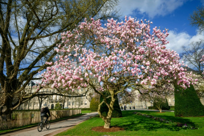 Une politique pro-vélo vertueuse, ou une offensive anti-voiture excessive? Dans plusieurs grandes villes, comme à Strasbourg, la question des mobilités est un sujet clivant dans la campagne pour les municipales - PATRICK HERTZOG (AFP)