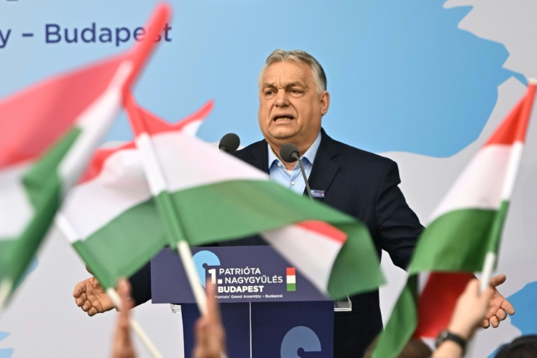 Viktor Orban, un modèle pour les dirigeants illibéraux