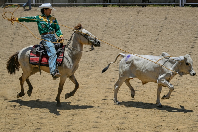 Aux Philippines, les "cowgirls" de Masbate domptent les boeufs et les préjugés