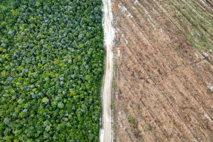 Vue aérienne de la forêt tropicale (g) et d'un terrain rasé pour des plantations (d) à Lahei Mangkutup, dans la régence de Kapuas du Kalimantan central, le 11 février 2026 en Indonésie - GREG BAKER (AFP)