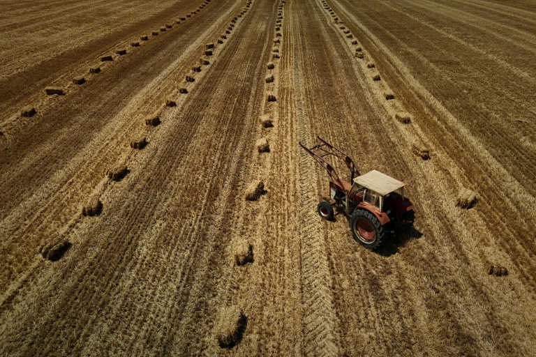 Loi d'urgence agricole: les parlementaires bâtissent un compromis fragile sur l'eau et les pesticides