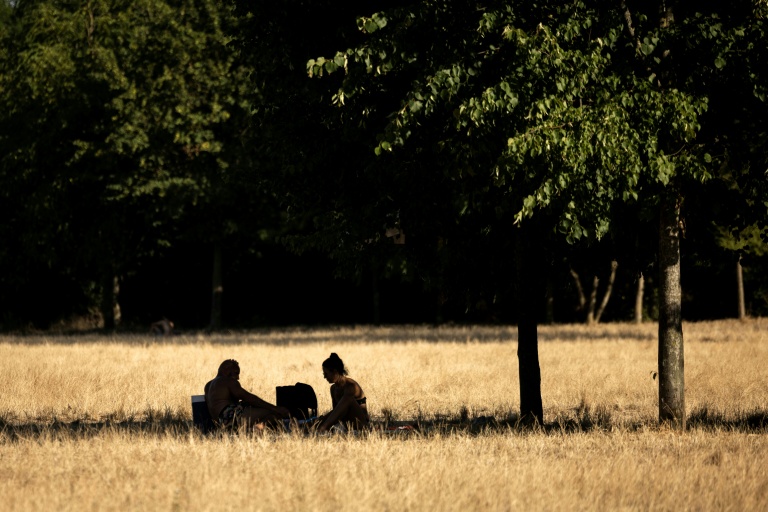 La France en plein pic de chaleur, entre incendies et perturbations majeures