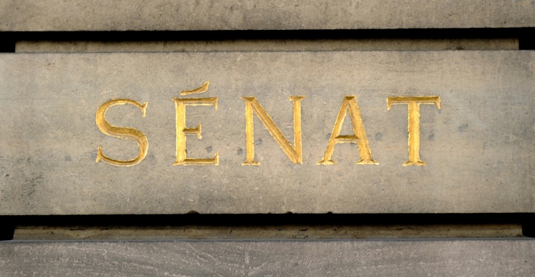 Le masculinisme, ce "poison" qui infiltre la société, affirme le Sénat
