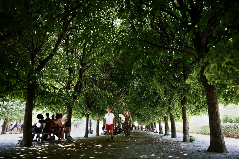 La canicule s'amplifie encore, la moitié des Français en vigilance rouge