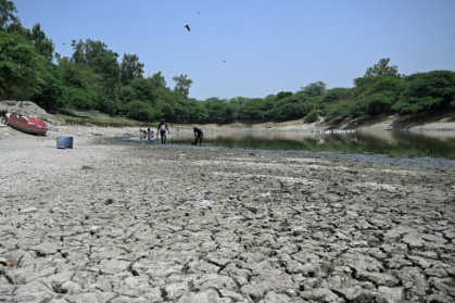 Des personnes ramassent des poissons morts dans un lac partiellement asséché lors d'une vague de chaleur à New Delhi, le 22 mai 2026 - Arun SANKAR (AFP)