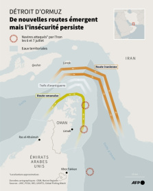 Détroit d'Ormuz : de nouvelles routes émergent mais l'insécurité persiste - Nicholas SHEARMAN, Sherine ELSAYARY, Luca MATTEUCCI (AFP)
