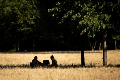 Un couple s'abrite sous un arbre pour pique-niquer au parc de Vincennes, le 11 juillet 2026 à Paris - Behrouz MEHRI (AFP)