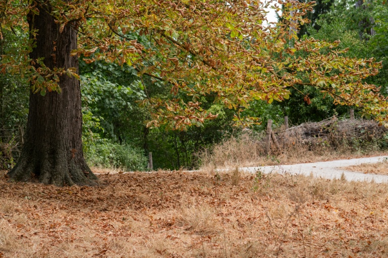 La sécheresse s'aggrave en France, près de deux tiers des nappes phréatiques en souffrance